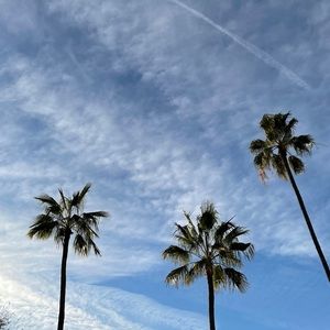 Meet your Posher, Sun